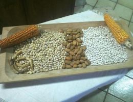 Immagine 2 di FAGIOLO DI PAGANICA