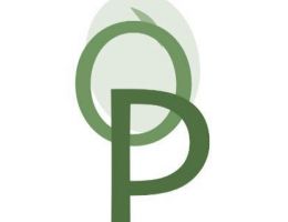 Immagine 4 di OLIO EXTRA VERGINE DI OLIVA CULTIVAR MORAIOLO TORRE MATIGGE QUALITA' SUPERIORE