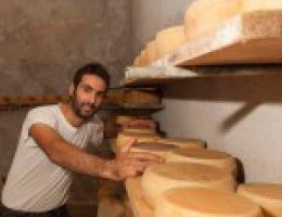 Immagine 1 di FORMAGGIO MISTO PECORA E MUCCA STAGIONATO DELLA VALNERINA