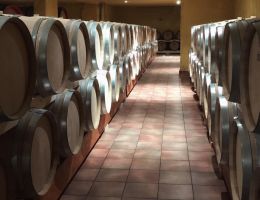 Immagine 2 di MONTEPULCIANO D'ABRUZZO D.O.C.G. RISERVA COLLINE TERAMANE TURAN