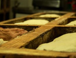 Immagine 1 di PANE DI TERNI