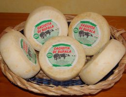 Immagine 1 di CACIOTTA DI BUFALA LA GRAZIOSA