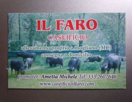 Immagine 2 di CACIOTTA DI BUFALA LA GRAZIOSA