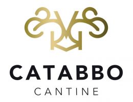 Immagine 3 di TINTILIA DEL MOLISE ROSSO RISERVA D.O.P. VINCÈ CANTINA CATABBO