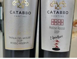 Immagine 4 di TINTILIA DEL MOLISE ROSSO RISERVA D.O.P. VINCÈ CANTINA CATABBO