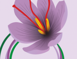 Immagine 1 di ZAFFERANO DI CASCIA