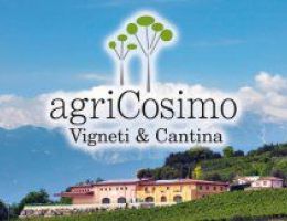 Immagine 2 di DUCA DI VILLAMAGNA RISERVA  VILLAMAGNA D.O.C.