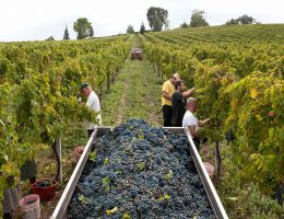 Immagine 2 di VILLAMAGNA D.O.C. RISERVA INVASIONE