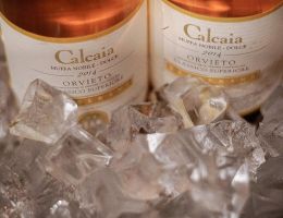 Immagine 4 di ORVIETO D.O.C. CLASSICO SUPERIORE MUFFA NOBILE CALCAIA