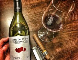 Immagine 1 di TINTILIA DEL MOLISE D.O.C. LAME DEL SORBO 2011