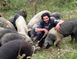 Immagine 2 di PROSCIUTTO CRUDO DI MORA ROMAGNOLA SALUMERIA ZIVIERI