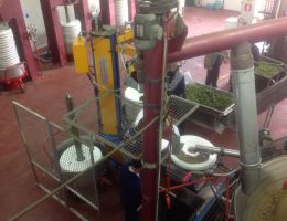 Immagine 3 di OLIO EXTRAVERGINE DI OLIVA BLEND DI CATEGORIA SUPERIORE