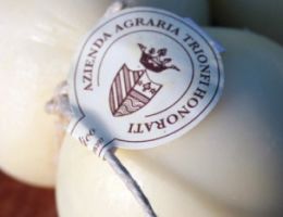 Immagine 2 di FORMAGGIO BUCARELLO CASEIFICIO PIANDELMEDICO