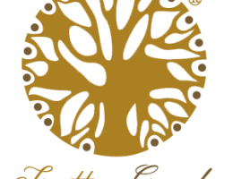 Immagine 2 di NOCINO CON MALLO DI NOCE BIO FRUTTO DEL GARDA