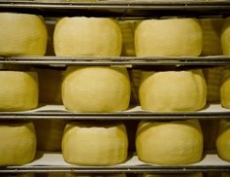 Immagine 1 di PECORINO ALLO ZAFFERANO DELLA VALNERINA