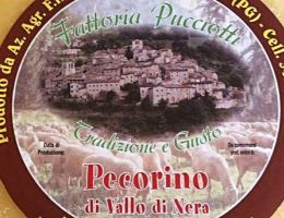 Immagine 1 di PECORINO AFFINATO DI VALLO DI NERA