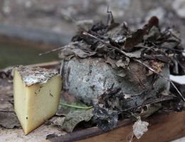Immagine 4 di PECORINO AFFINATO DI VALLO DI NERA