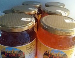 Immagine 1 di MIELE ALLA FRUTTA DI ALTA QUALITA'