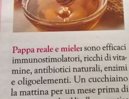 Immagine 3 di MIELE ALLA FRUTTA DI ALTA QUALITA'