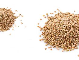 Immagine 1 di LENTICCHIE DI MONTE CASTELLO