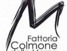 Immagine 3 di I TERRENI DI SANSEVERINO MORO D.O.C. CIACCO DA COLMONE