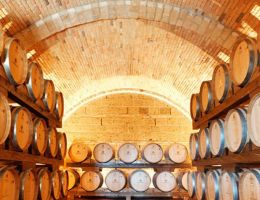 Immagine 3 di TINTILIA MOLISE D.O.C. TERRESACRE