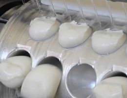 Immagine 2 di BURRATA DI BUFALA CASEIFICIO ALBERETO