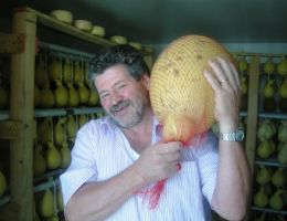 Immagine 1 di CACIOCAVALLO GIGANTE DI CAROVILLI DEL MAESTRO CASARO ROBERTO DE ANDREA