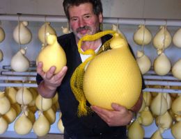 Immagine 3 di CACIOCAVALLO GIGANTE DI CAROVILLI DEL MAESTRO CASARO ROBERTO DE ANDREA