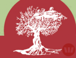 Immagine 5 di OLIO EXTRAVERGINE DI OLIVA BLEND  DI QUALITA' SUPERIORE