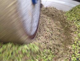 Immagine 3 di OLIO EXTRAVERGINE DI OLIVA BLEND CATEGORIA SUPERIORE CUORE VERDE