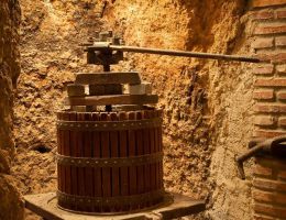 Immagine 2 di OLIO EXTRA VERGINE DI OLIVA BLEND DI CATEGORIA SUPERIORE