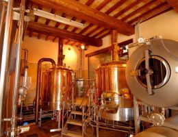 Immagine 2 di BIRRA CHIARA STILE PILS LA FANFARONA