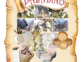 Immagine 4 di TRECCIA DI SANTA CROCE DI MAGLIANO