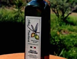 Immagine 4 di OLIO EXTRAVERGINE DI OLIVA CULTIVAR IL PIANTONE DI MOGLIANO DI QUALITA' SUPERIORE