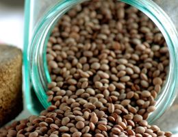 Immagine 4 di LENTICCHIA DEI MONTI SIBILLINI