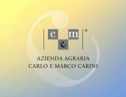 Immagine 3 di FAGIOLINA DEL TRASIMENO BIOLOGICA