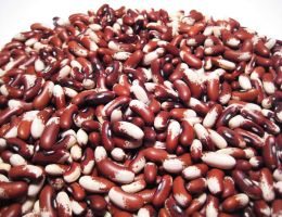 Immagine 1 di FAGIOLI MONACHELLE DELLA VAL NERINA