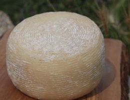 Immagine 1 di CACIOTTA DI CAPRA DELLA VALNERINA