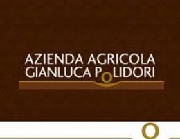 Immagine 2 di OLIO EXTRAVERGINE DI OLIVA D.O.P. UMBRIA COLLI ASSISI SPOLETO IL PORETINO CASTELLO DI PORETA