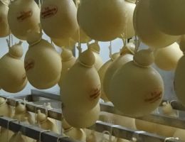 Immagine 1 di CACIOCAVALLO DI CASTELPETROSO CASEIFICIO LA ROCCOLANA