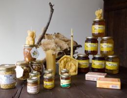 Immagine 1 di MIELE DI ERBA MEDICA