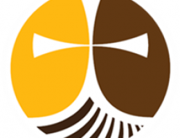 Immagine 3 di CHIARA LE BLONDE STILE BLONDE ALE