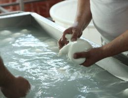 Immagine 1 di MOZZARELLA DI BUFALA CAMPANA D.O.P. CASEIFICIO I DUE PINI