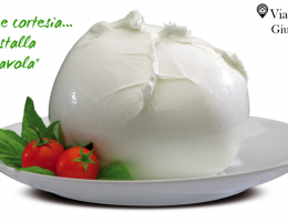 Immagine 1 di MOZZARELLA DI BUFALA CAMPANA D.O.P.