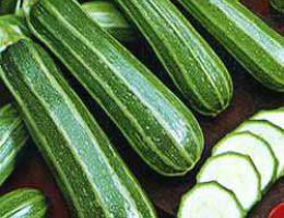 Immagine 3 di ZUCCHINO SAN PASCQUALE