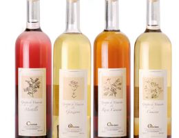 Immagine 1 di ROSA SELVATICA GRAPPA OFFICINALE