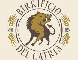 Immagine 3 di UKRE STILE KOLSCH