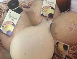 Immagine 4 di MOZZARELLA DI BUFALA CAMPANA D.O.P.