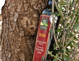 Immagine 2 di OLIO EXTRAVERGINE DI OLIVA DOP VENETO EUGANEO-BERICO DELFO